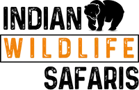 Indian Wildlife Safari Logo