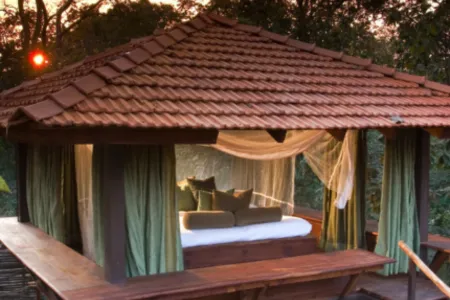 Baghvan Jungle Lodge