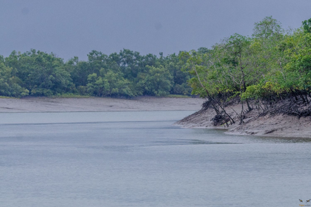 Sundarbans Tiger Reserve