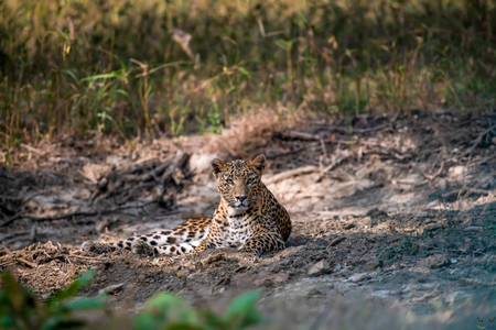 Panna National Park