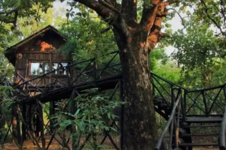 Bandhavgarh Tiger Reserve